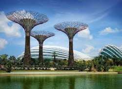 The park is comprised of three alluring gardens such as Bay Eastern Garden, Bay Southern Garden and Bay Central Garden and they are known as the coast